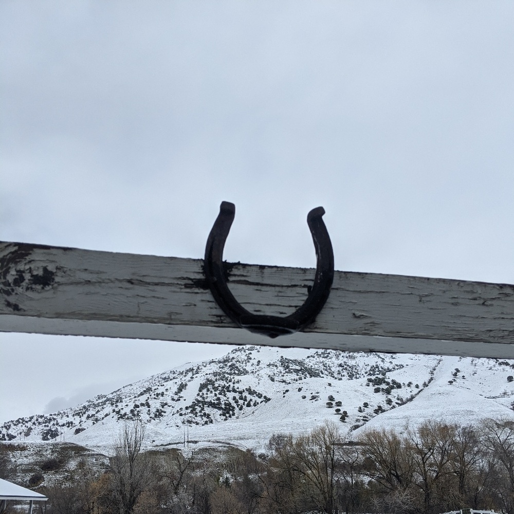 Meet your Posher, Cora